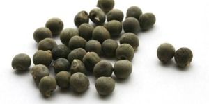 Okra Seeds