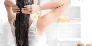 Hemp Oil & Himalayan Hair Conditioner