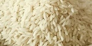 Swarna Non Basmati Rice