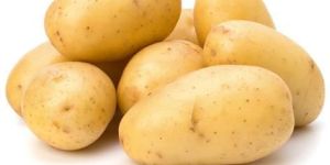 Fresh Potato
