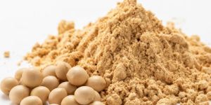 Soyabean Flour