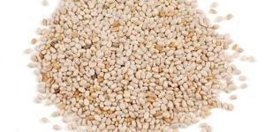 White Chia Seeds