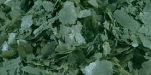 Spirulina Flakes