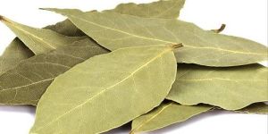 Bay Leaf