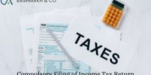 Income Tax Return Filing