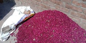 Dried Red Rose Petals