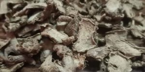 Dried Ginger Slices
