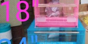 Bird Cages