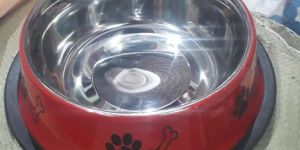 Pet Feeding Bowl
