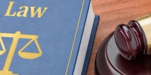 Criminal Case Lawyer Consultancy Services