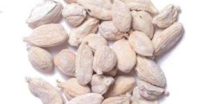 White Cardamoms