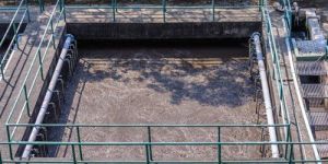 Membrane Bioreactors