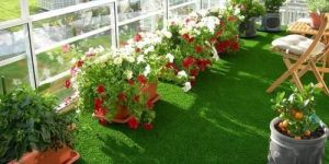 Balcony Garden Service