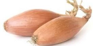 Shallot Onions