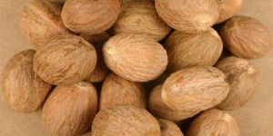 Nutmeg