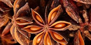Star Anise