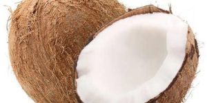 Fresh Brown Coconut