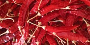 Dried Red Chilly