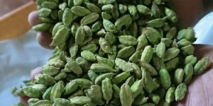 Green Cardamom
