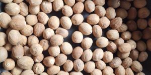 Nutmeg