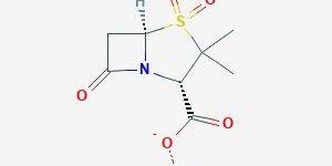Sulbactam Sodium Sterile