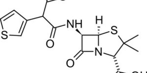 Ticarcillin Sodium & Potassium Clavulanate