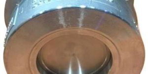Stainless Steel Wafer Check Valve