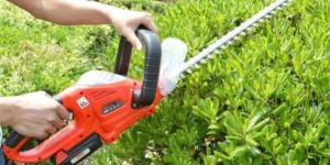 Hedge Trimmer
