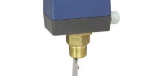 Flow Switch