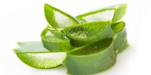 Aloe Vera Extract