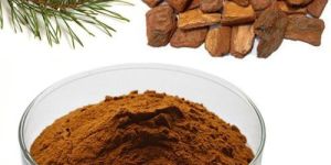 Pine Bark Extract