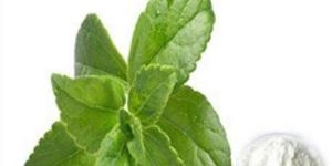 Stevia Extract