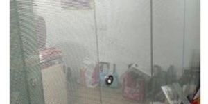 Frameless Glass Partition