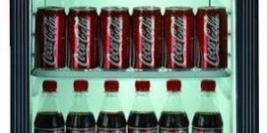 Single Door Visi Cooler