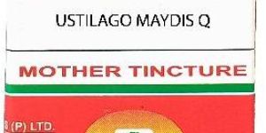 Ustilago Maydis Q Drops