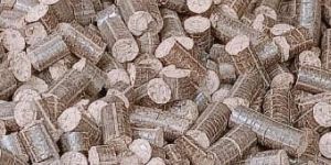 Bio Mass Briquettes