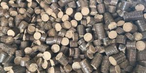 Biomass Briquettes
