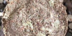 Agro Waste Briquette