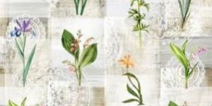 Digital Print Muslin Fabric