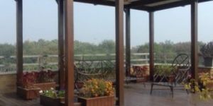 Pergola Installation Services