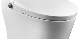 Parryware One Piece Water Closert