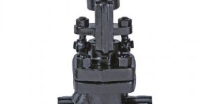 F.S.S. (F316) Globe Valve, Class-800
