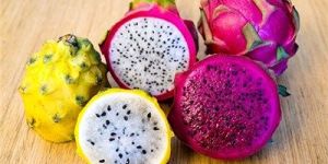 Fresh Dragon Fruit