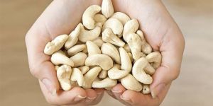 White Cashew Nuts