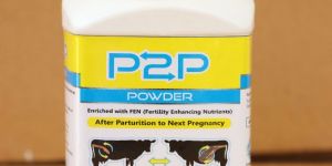 P2P Veterinary Powder-500gm