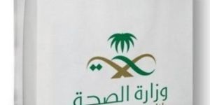 Non Woven Foldable Bag