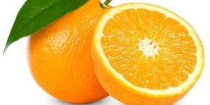 Fresh Oranges