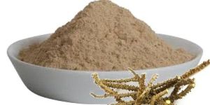 Giloy Powder