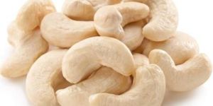 Premium Cashew Nuts
