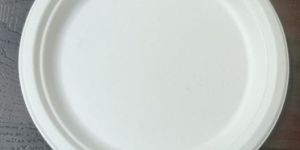 10 Inch Plain Sugarcane Bagasse Plate